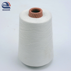 Ring Spun 100% Nylon 66 Twisted Knitting Nylon Yarn