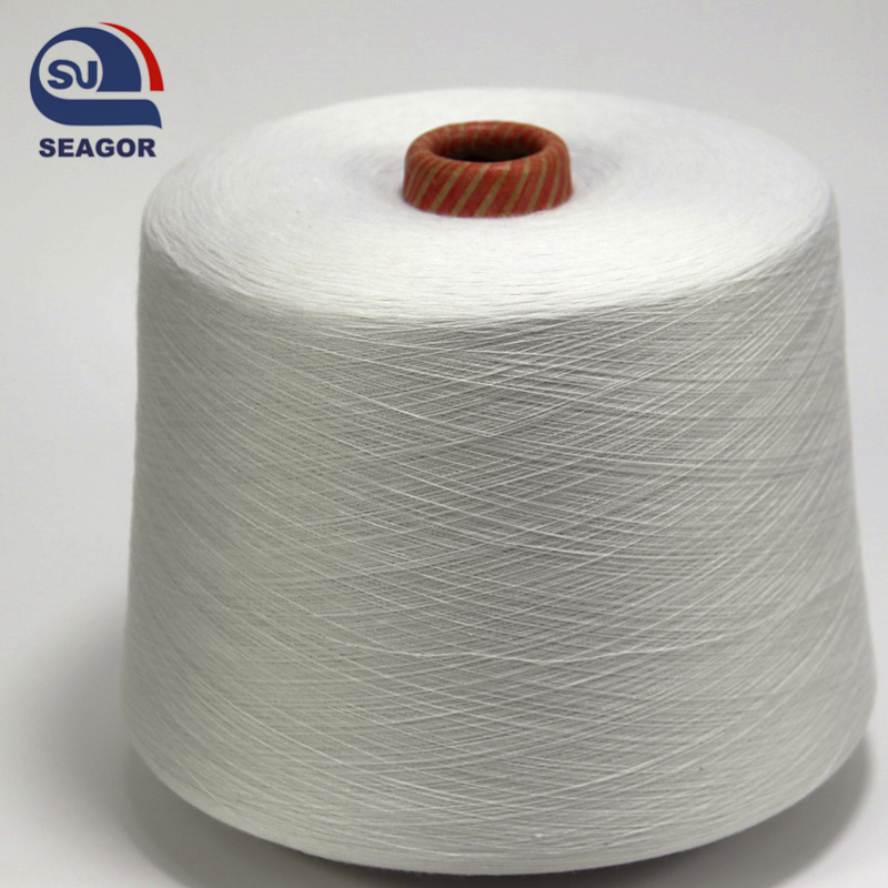Nylon 66 Yarn Nylon 6 Yarns Nylon Blended Yarns Pa6 Pa66 Yarn Polyamide