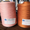 Colored Tencel Nylon Elastic Yarns 48NM/2 for Knitting (R&D/Tennal Yarn天尼滑/James)